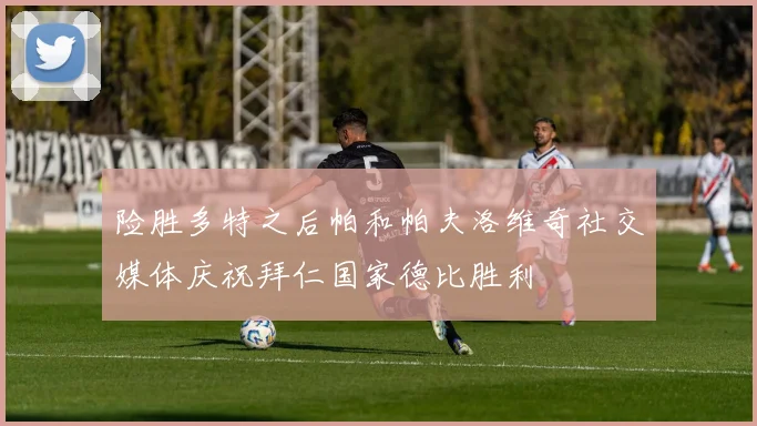 险胜多特之后帕和帕夫洛维奇社交媒体庆祝拜仁国家德比胜利
