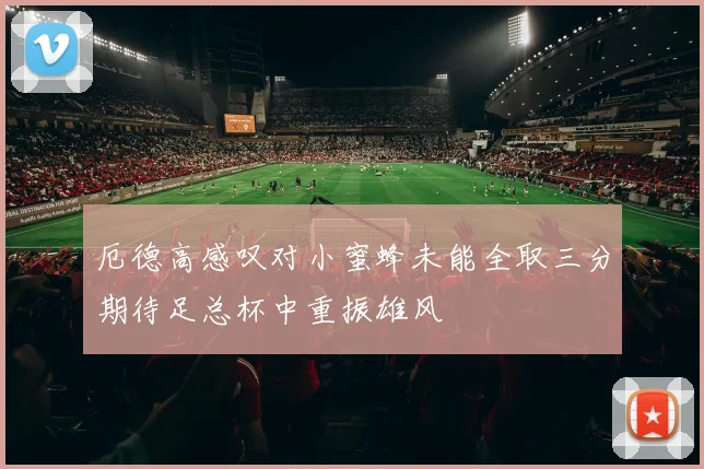 厄德高感叹对小蜜蜂未能全取三分期待足总杯中重振雄风