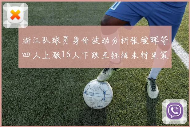 浙江队球员身价波动分析张瑷晖等四人上涨16人下跌王钰栋米特里策保持不变